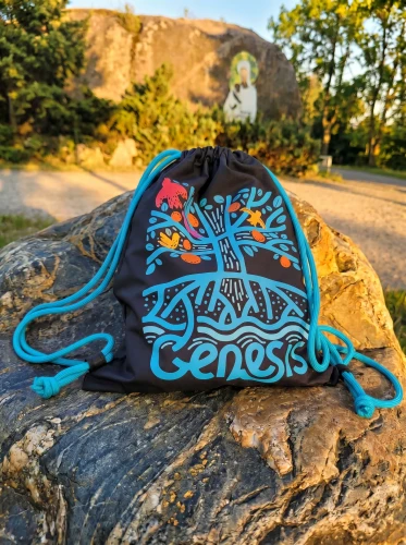 worek genesis czarno-niebieski.webp